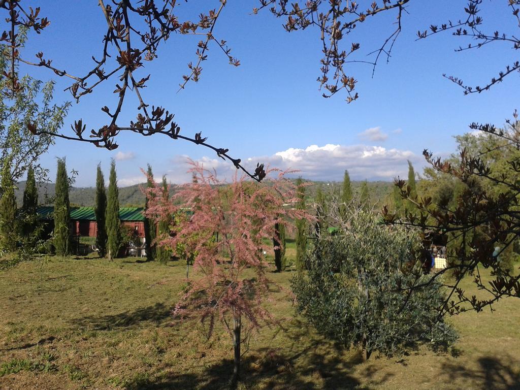 Pancole Casale In Maremma 아파트 외부 사진