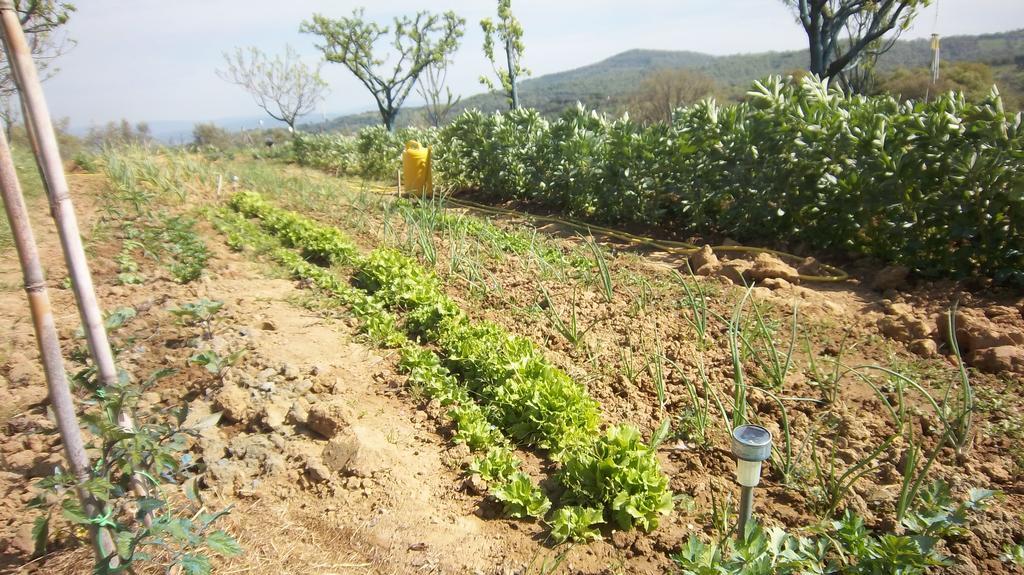 Pancole Casale In Maremma 아파트 외부 사진